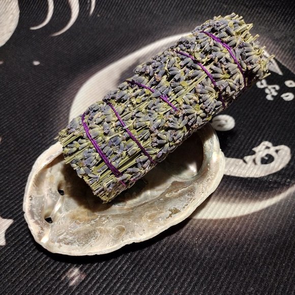 Small Abalone Seashell w/Smudge - Picture 1 of 5